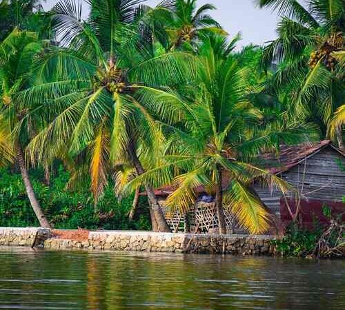 Epic Kerala Special | 4N/5D
