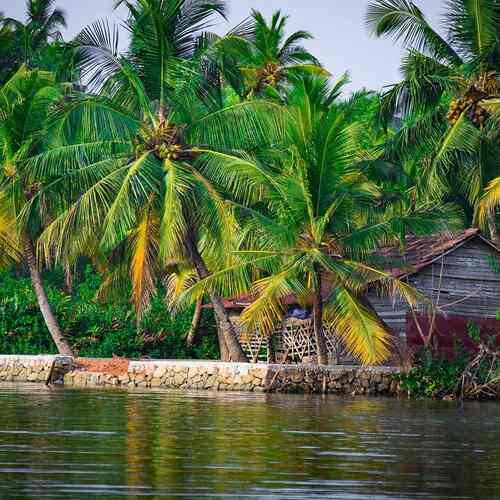 Epic Kerala Special | 4N/5D